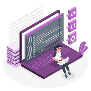 Custom Website And Software Development
