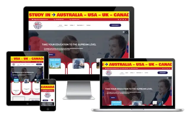 Consultant Website Development Service